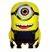 minion 1 mati